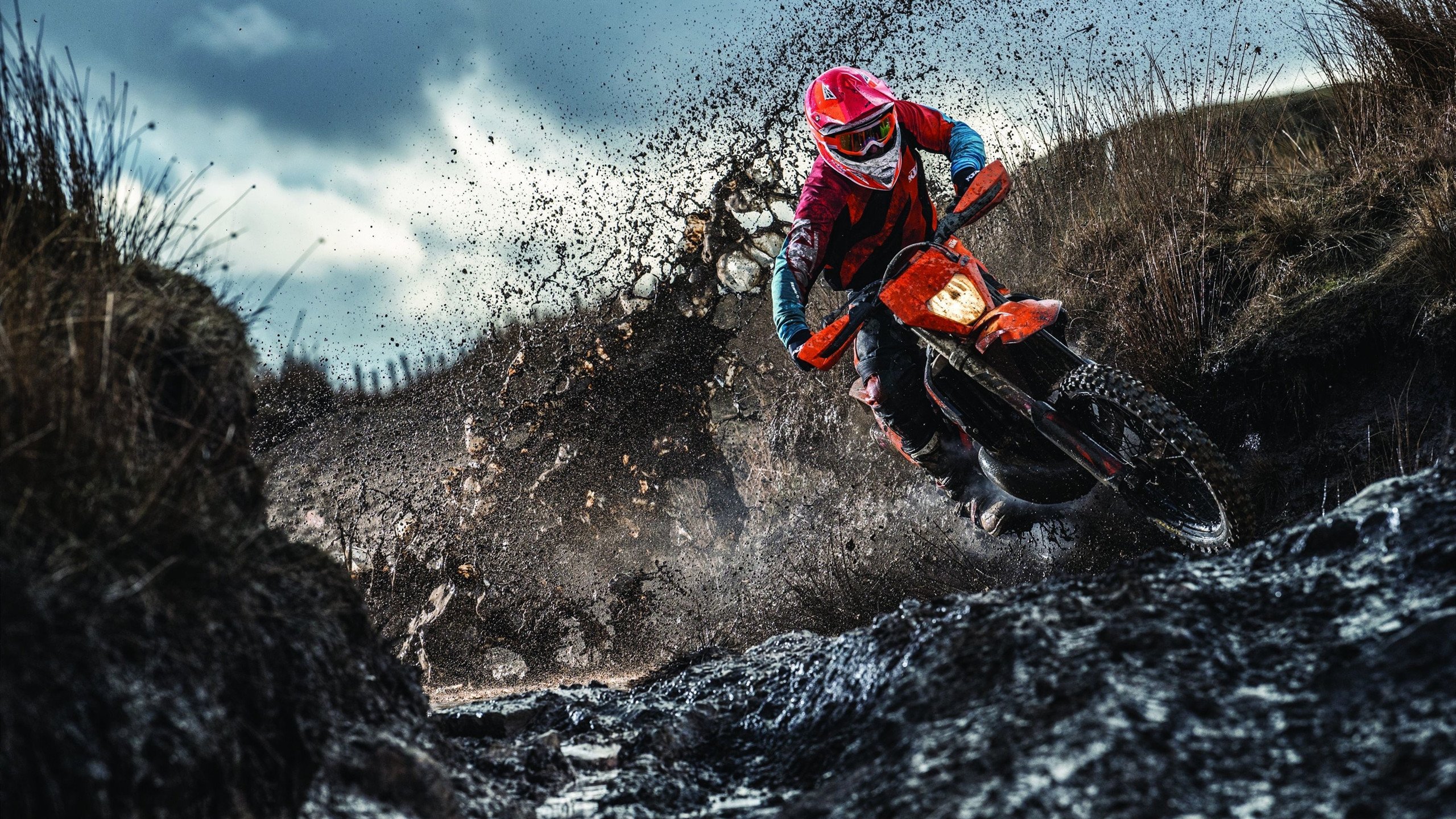 德约科维奇意外战胜德国队，夺冠引爆全场！气势如虹延续的简单介绍